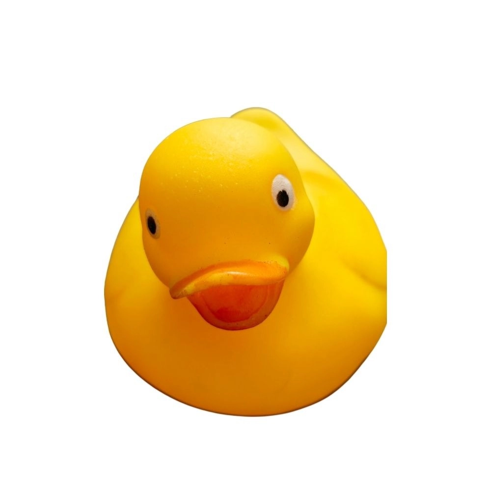 53859214792_2053eca756_o_d-1000x1000-1.webp