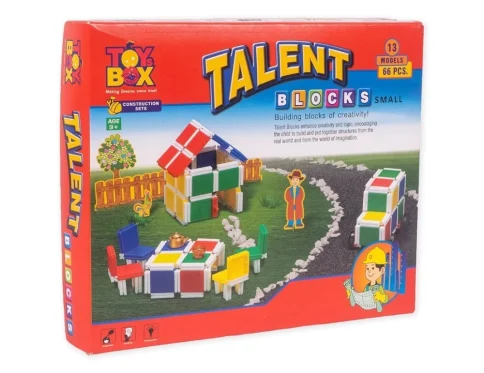 66_Pcs Set Talent Small Block | Plastic | Educational Toys | 3+ Years