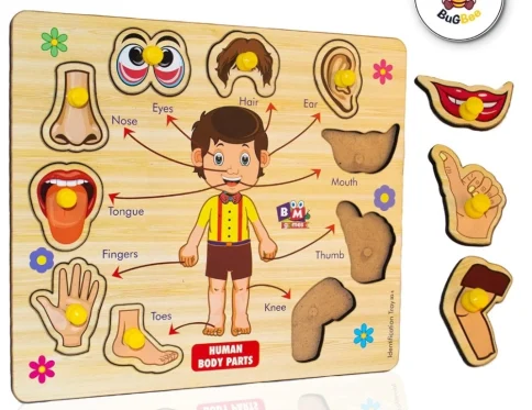 Wooden Puzzle – Body parts | Wood | Educational Toys | 3+ Years